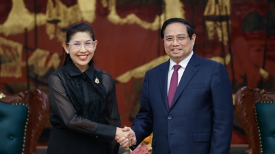Le Premier ministre Pham Minh Chinh reçoit l'ambassadeur du Royaume de Thaïlande.