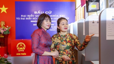 Secțiile de votare speciale din Hanoi