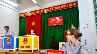 Gia Lai: Nhon Chau island Commune انتخابی طریقہ کار کا ٹرائل چلا رہا ہے۔