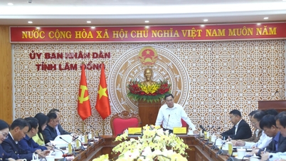 ផែនទីបង្ហាញផ្លូវជាក់លាក់មួយ គឺត្រូវការជាចាំបាច់ ដើម្បីបង្កើនប្រាក់ចំណូលពីសកម្មភាពទាក់ទងនឹងដីធ្លីនៅក្នុងខេត្តឡាំដុង។