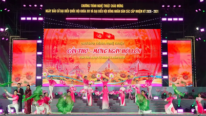 প্রাণবন্ত শিল্প অনুষ্ঠান "ক্যান থো - গ্র্যান্ড ফেস্টিভ্যাল উদযাপন"