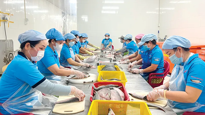 Can Tho : Objectif : un chiffre d'affaires total de 2 475 milliards de VND pour les coopératives en 2026.