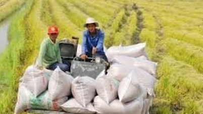 Rice exports in the first two months of 2026: Volume increased by 5%, value reached US$599.3 million.