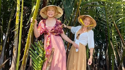 Părăsind locurile de muncă bine plătite, turiștii americani vin la Da Nang pentru a trăi o „viață de vis”.