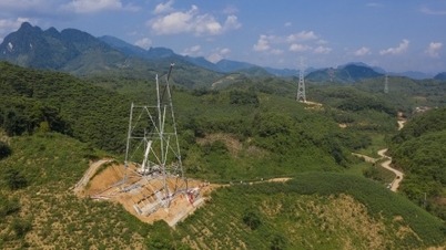 Cu o investiție de 5 miliarde de dolari pe an, EVN ridică ștacheta serviciilor de consultanță în proiecte energetice.