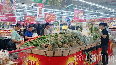 ຮ່ວມມືກັບຜູ້ບໍລິໂພກເພື່ອທຸລະກິດທີ່ຍືນຍົງ.