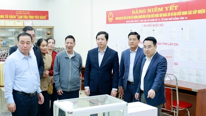 Lao Cai aktywnie przygotowuje się do dnia wyborów: dba o to, aby każdy wyborca ​​miał prawo do oddania głosu.