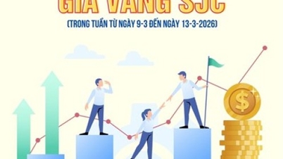 Giá vàng SJC tuần qua