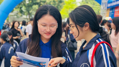 Sinh viên giỏi ngoại ngữ ra trường sẽ làm gì?