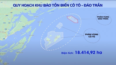 Ban Quản lý Di sản thế giới vịnh Hạ Long, Yên Tử nhận thêm Khu bảo tồn biển hơn 18.000ha