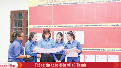 Những cử tri trẻ lần đầu thực hiện quyền bầu cử