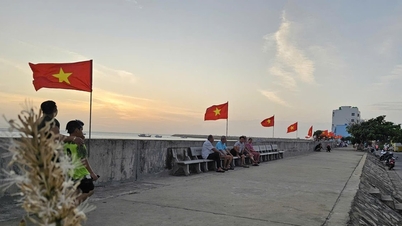 Zone économique spéciale de Phu Quy avant le jour des élections