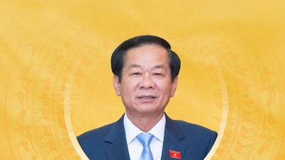 Brief biography and action plan of candidate for the 16th National Assembly of Ho Chi Minh City, Do Thanh Binh.