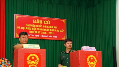 5 khu vực bỏ phiếu sớm tại Lâm Đồng hoàn thành bầu cử