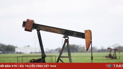 Asiatische Länder bereiten den Abschluss eines 30 Milliarden Dollar schweren Energieabkommens mit den USA vor.