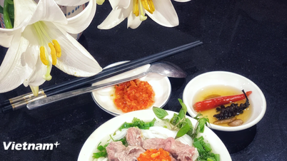 Pho-festivalen 2026: Komplettering av det praktiska underlaget och slutförande av dokumentationen för att få vietnamesisk Pho erkänd som ett världsarv.