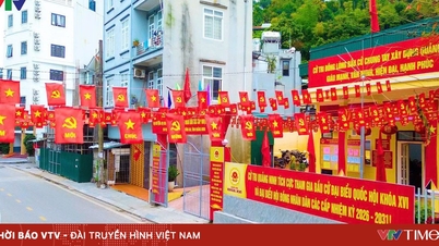 برای اینکه روز انتخابات به ماهیگیران نزدیک‌تر شود.