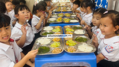 Hanoi okulları, veli gözetimi altında 7 aşamalı bir süreç izleyerek okul öğle yemeği programları düzenliyor.