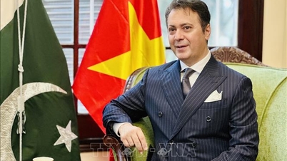 Pakistani Ambassador Kohdayar Marri: The election reflects the people's trust.