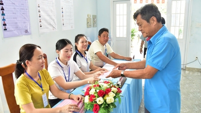 Komune pulau Thanh An, Kota Ho Chi Minh, dipenuhi aktivitas seiring berlangsungnya uji coba pemilihan.
