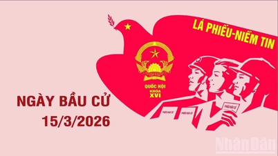 Πληροφορίες που πρέπει να γνωρίζετε για την ημέρα των εκλογών