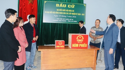Președintele Comitetului Popular Provincial, Ha Quang Trung, inspectează pregătirile electorale în districtul Tan Phong.