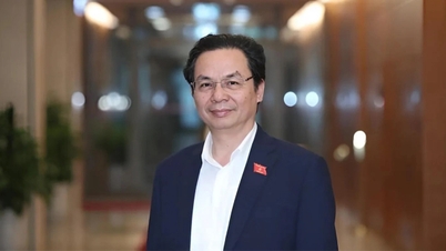 Profesör Hoang Van Cuong: Ulusal Meclis temsilcilerinin kim olacağına seçmenler karar verir.