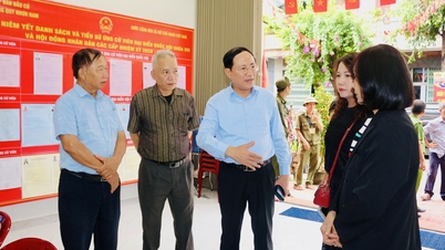 De voorzitter van het Provinciaal Volkscomité, Pham Anh Tuan, inspecteerde de verkiezingsvoorbereidingen in de kiesdistricten Quy Nhon Dong en Quy Nhon Nam.