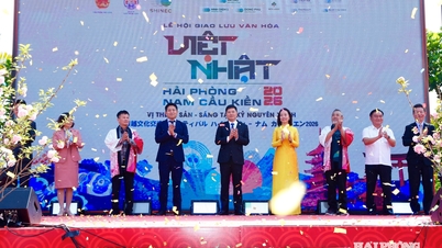Hai Phong'da düzenlenen 2026 Vietnam-Japonya Kültür Değişim Festivali'nin öne çıkan noktaları