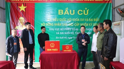 Nguyễn Ngoc Vinh, a Tartományi Pártbizottság titkárhelyettese ellenőrizte a választási előkészületeket Tan Phong kerületben és Sin Suoi Ho községben.