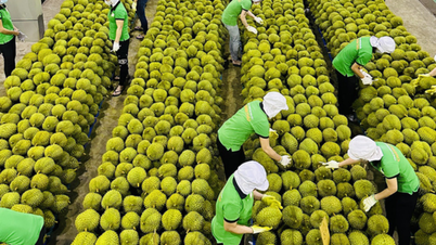 De nombreux signes positifs pour les exportations vietnamiennes malgré les troubles au Moyen-Orient.