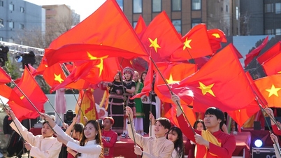 Stimmen aus den Herzen der im Ausland lebenden Vietnamesen: Stolz und Verantwortung gegenüber der Heimat.