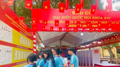 Kim Lien: Los votantes de la zona de viviendas de alquiler se preparan para el día de las elecciones.