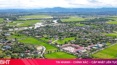 Dari taman percontohan hingga perjalanan membangun "desa organik"