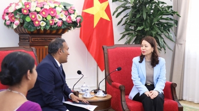 Le Vietnam et le Sri Lanka renforcent leur coopération commerciale, visant un volume d'échanges d'un milliard de dollars américains.