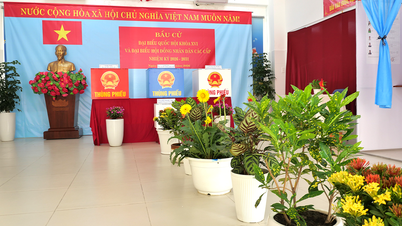 Hô Chi Minh-Ville : Des bureaux de vote « verts » impressionnants