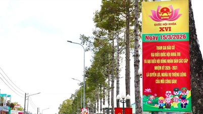 Dong Thap: Ett upplopp av flaggor och blommor välkomnar nationalfestivalen.