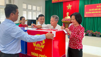 A Zona Especial de Con Dao realiza uma revisão abrangente dos preparativos para as eleições.