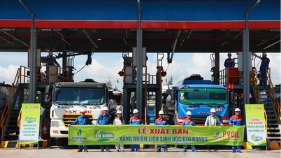 משרד התעשייה והמסחר: לא התקבלו משוב שלילי בנוגע לאיכות הבנזין E10 RON95.