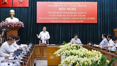 Nasjonalforsamlingens speaker var til stede ved kunngjøringen av beslutningen om å gjennomføre inspeksjoner og tilsyn sammen med den stående komiteen i Ho Chi Minh-byens partikomité.