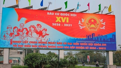 In the Hanoi area, there was drizzle and cold weather during the morning and night of the election.