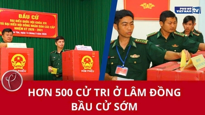 Över 500 väljare i Lam Dong-provinsen förtidsröstade.