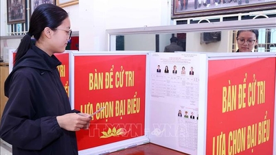 Ulusal Meclis ve Halk Konseyi seçimleri: Oy sandığına tam güveninizi verin.