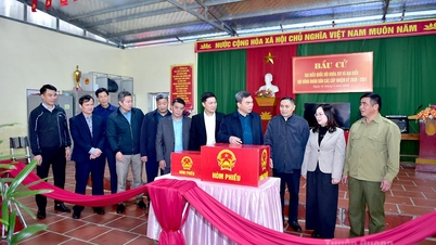 Ma The Hong, vicesecretario del Comité Provincial del Partido y presidente del Comité del Frente de la Patria de Vietnam de la provincia, inspeccionó los preparativos electorales en la comuna de Quan Ba.