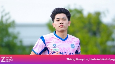 Компания Dinh Bac снова не работает.
