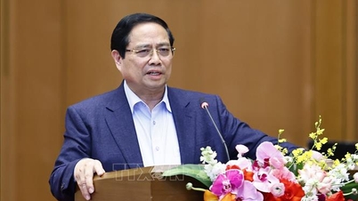 팜 민 찐 총리는 하노이 수도 계획의 100년 비전은 사람을 중심에 두고 주요 주체로 삼아야 한다고 강조했습니다.