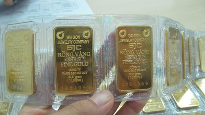 Los compradores de lingotes de oro SJC perdieron casi 8 millones de VND por onza en tan solo unos días.