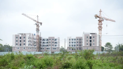 Đồng Tháp: Phấn đấu đến năm 2030 xây dựng 12.200 căn nhà ở xã hội