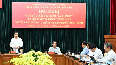 Announcement of the decision to conduct inspections and supervision of the Standing Committee of the Ho Chi Minh City Party Committee.