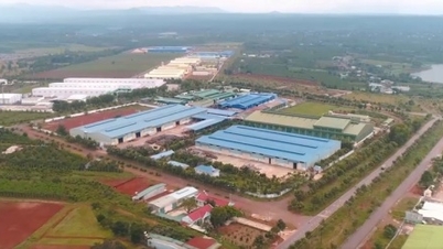 Many shortcomings at the Tra Da Industrial Park are being addressed.